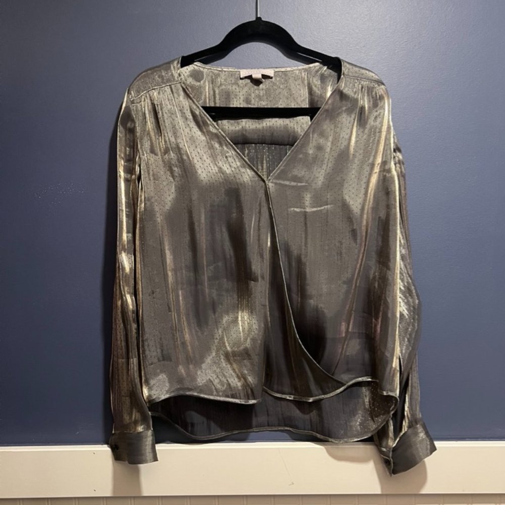 Sheer Metallic Blouse